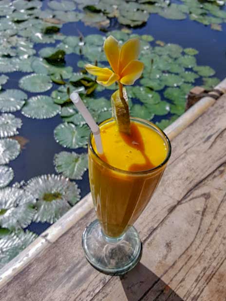 jamu turmeric juice bali drinks