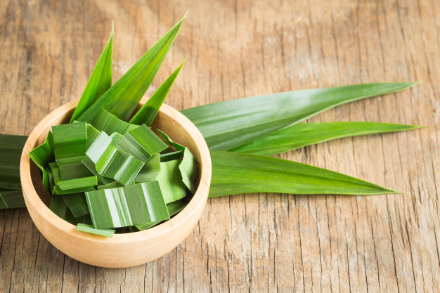 pandan leaf in a bowl