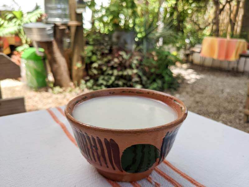 guide to drinks in oaxaca: atole blanco