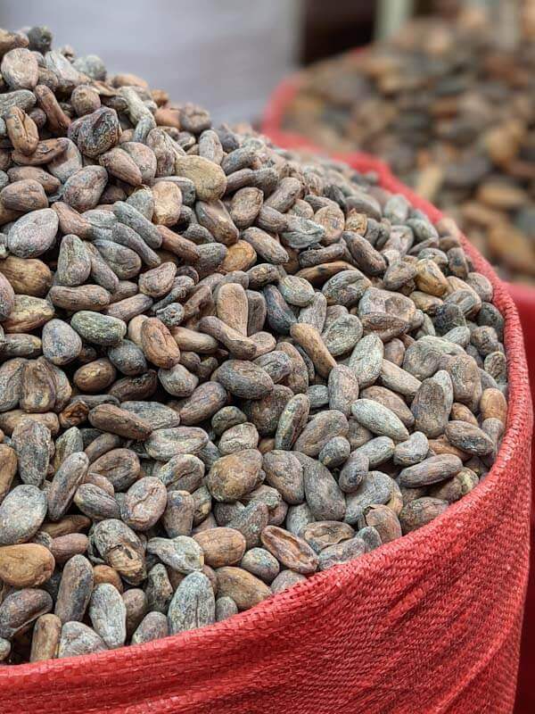 guide to drinks in oaxaca: cacao beans