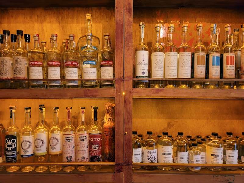 guide to drinks in oaxaca
