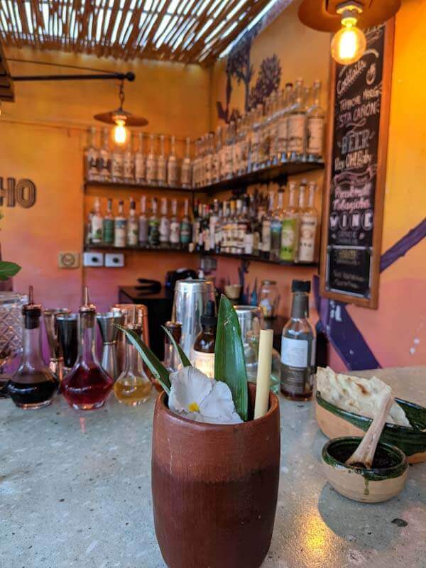 mezcal cocktail in oaxaca