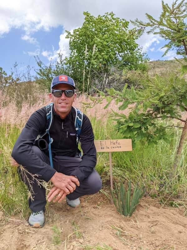 oaxaca mezcal tour: plant your baby agave
