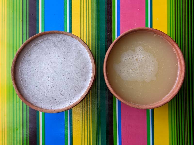 guide to local drinks in oaxaca: pulque
