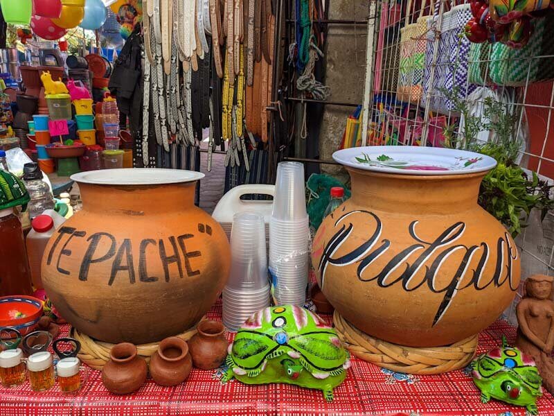 tepache and pulque drinks in oaxaca
