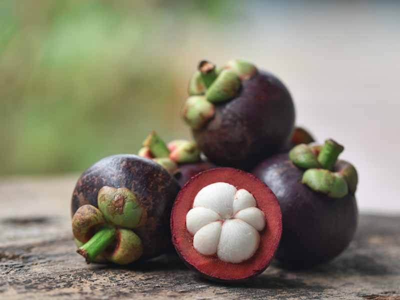 mangosteen purple fruit with white inside