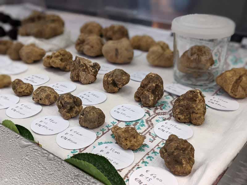 alba white truffles italy