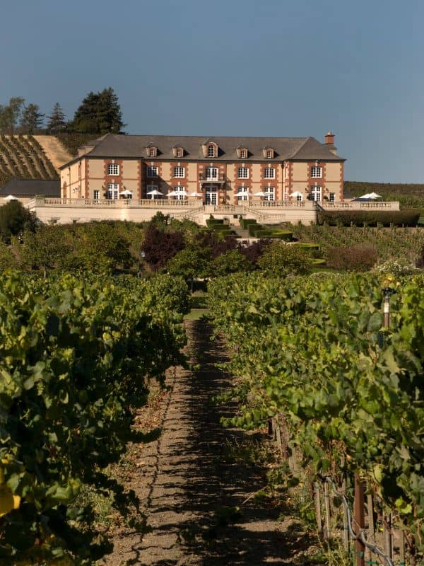 vineyards with chateau