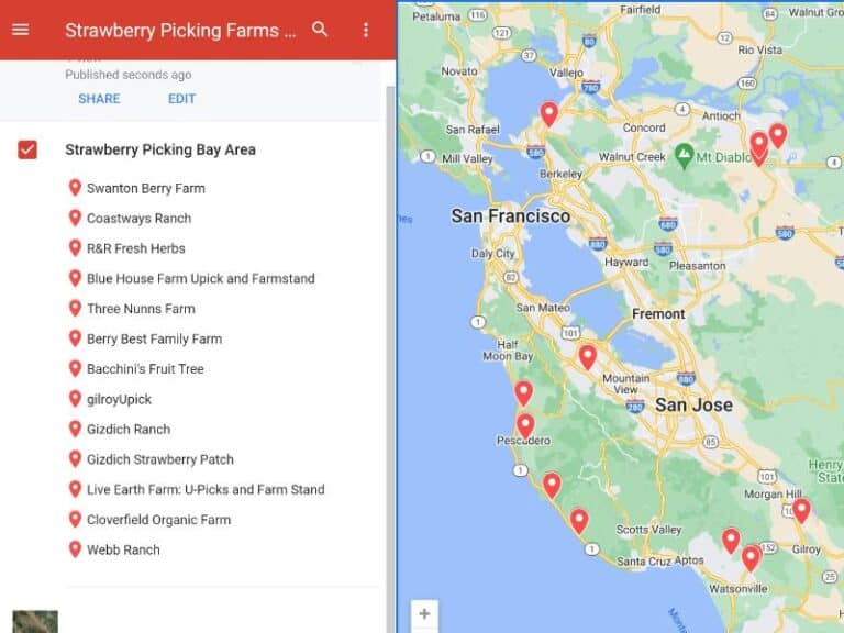 15 Best Farms for Strawberry Picking in the Bay Area 2024 [+ Map]